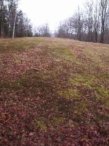 A knoll where moss has replaced the grass.