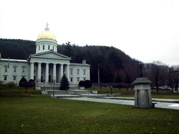 TREES DYING ON HILL BEHIND VERMONT STATE CAPITOL